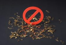 setumpuk not musik dan tanda merah